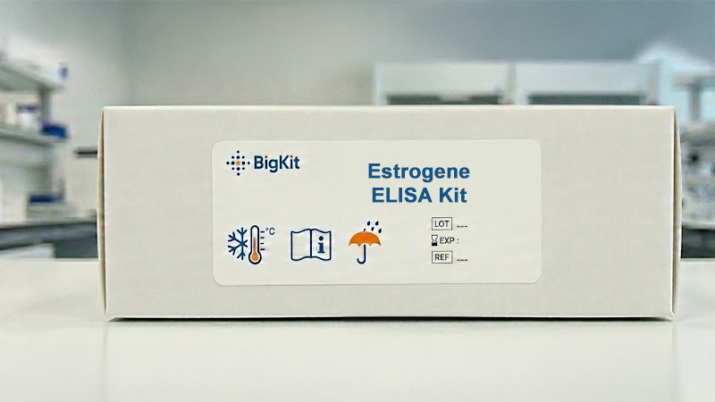 Elisa Kit Estrogene