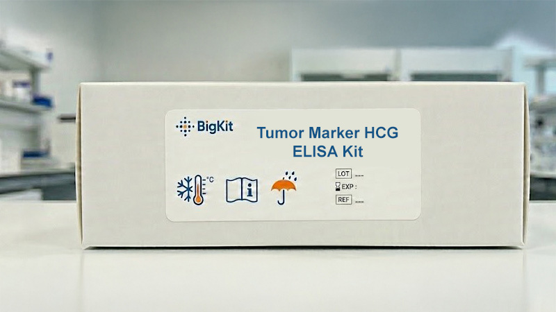 Elisa Kit HCG (Tumor Marker)