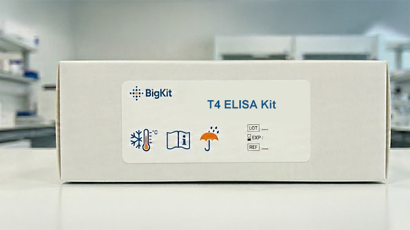 Elisa Kit T4