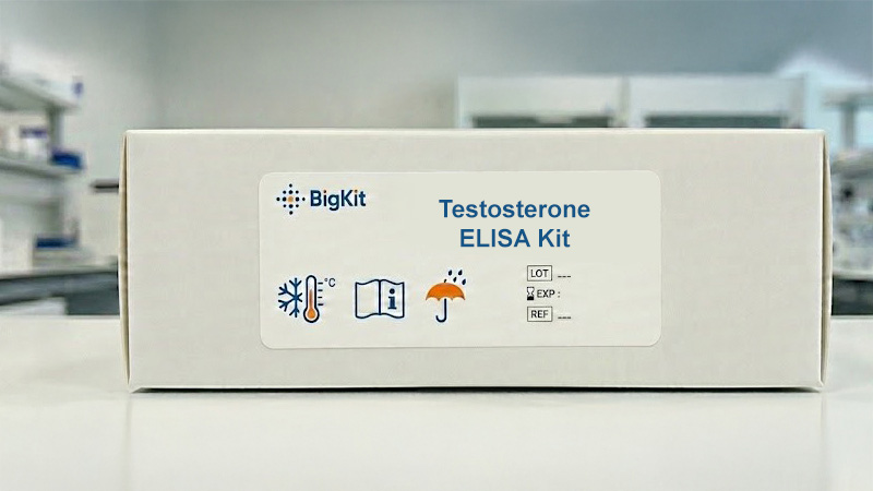 Elisa Kit Testesteron